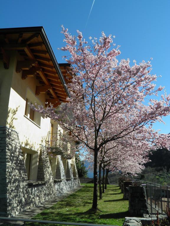 Villa Primula Bellagio Habitación foto